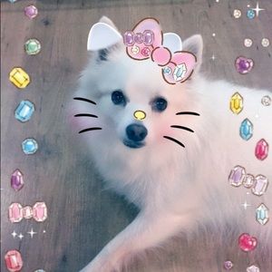 Meet your Posher, Menely